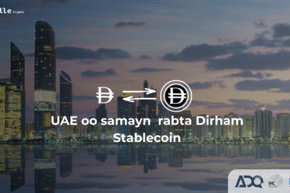UAE dirham stablecoin