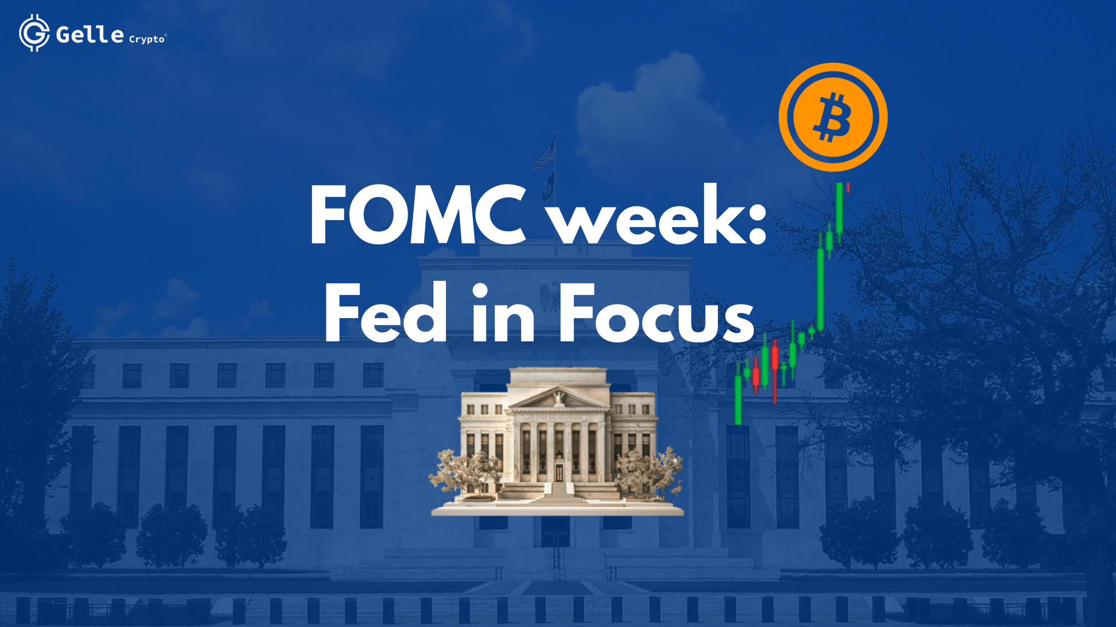 fed in focus